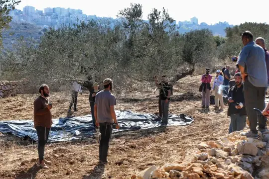 الأمم المتحدة: 264 اعتداء للمستوطنين الإسرائيليين ضد الفلسطينيين بالضفة في أكتوبر