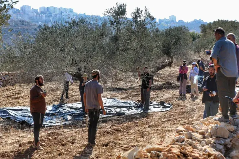 أوتشا تسجل أعلى حصيلة شهرية منذ نحو 20 عامًا، وسط استمرار التصعيد الإسرائيلي