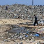 وزير الصحة يحذر من تفاقم المخاطر الصحية في غزة بسبب انتشار القوارض