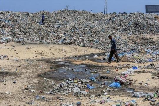 وزير الصحة يحذر من تفاقم المخاطر الصحية في غزة بسبب انتشار القوارض