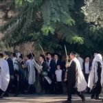 محافظة القدس تحذر من محاولات إدخال قرابين حيوانية إلى المسجد الأقصى خلال عيد الفصح