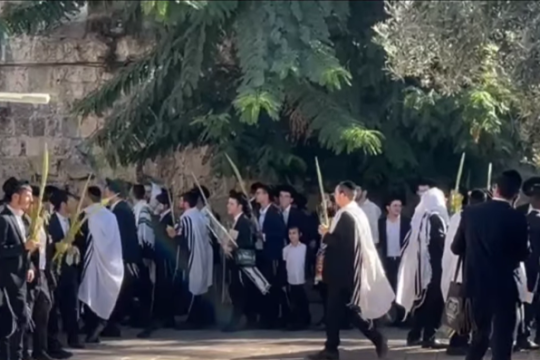 محافظة القدس تحذر من محاولات إدخال قرابين حيوانية إلى المسجد الأقصى خلال عيد الفصح