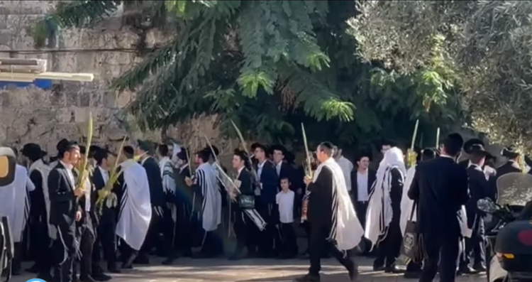 إجراءات استيطانية جديدة تهدف لفرض طقوس دينية وتهويد كامل الأقصى في ظل استمرار إغلاقه