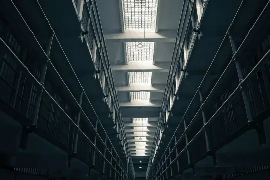 شاب مصري يُبتكر جهازًا لطرد الطيور… ويقوده إلى السجن