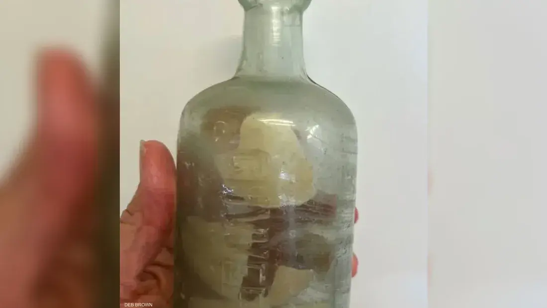 رسائل جنديين أستراليين إلى ذويهما تكشف وجهاً إنسانياً للحرب وتعيد صدى الماضي إلى الحاضر بعد أكثر من 100 عام