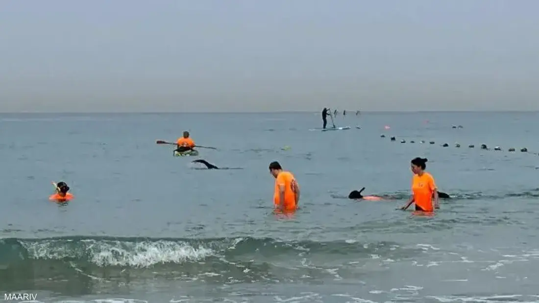 التحقيقات ترجّح أن المسؤولة السابقة ألقت هاتفها في البحر لإتلاف أدلة في قضية تسريب فيديو اعتداء جنود على معتقل فلسطيني