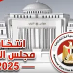 رئيس الهيئة الوطنية للانتخابات: قد نلغي المرحلة الأولى لمجلس النواب جزئيًا أو كليًا
