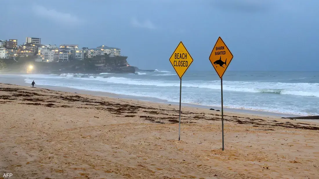 إغلاق شريط ساحلي بطول 30 كيلومتراً في سيدني بعد ثالث هجوم لسمك قرش خلال يومين