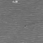 فتى أسترالي يسبح 4 ساعات وسط الأمواج وينقذ عائلته من الغرق