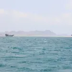 رئيس المنظمة البحرية الدولية يدين هجمات البحر الأحمر ويحذر من مخاطرها على الملاحة والبيئة
