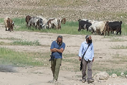 تقرير: البؤر والمزارع الرعوية الاستيطانية تتمدد في المناطق المصنفة (B) بتسهيلات من جيش الاحتلال