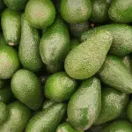 لماذا يتحوّل لون الأفوكادو إلى البُني؟ وهل يصبح غير صحي عند تناوله؟