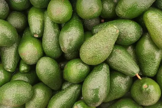لماذا يتحوّل لون الأفوكادو إلى البُني؟ وهل يصبح غير صحي عند تناوله؟