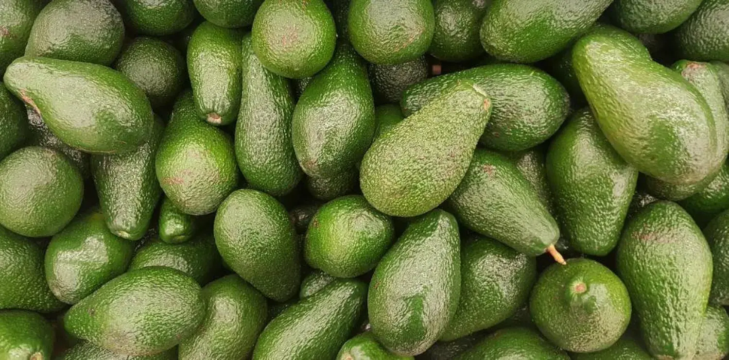 خبراء يوضحون أن تغيّر اللون ناتج عن الأكسدة وليس دليلاً على الفساد الغذائي