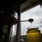 الكركم والعسل.. مزيج «ذهبي» يعزز الصحة وقد يساعد على إنقاص الوزن