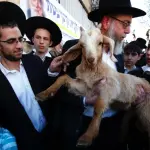 محاولة إدخال قرابين حيوانية إلى البلدة القديمة في القدس تزامناً مع إغلاق الأقصى