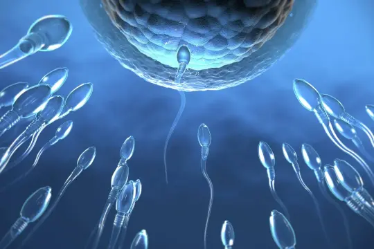 الحيوانات المنوية: كل ما تحتاج معرفته لتعزيز خصوبة الرجل وصحة السائل المنوي