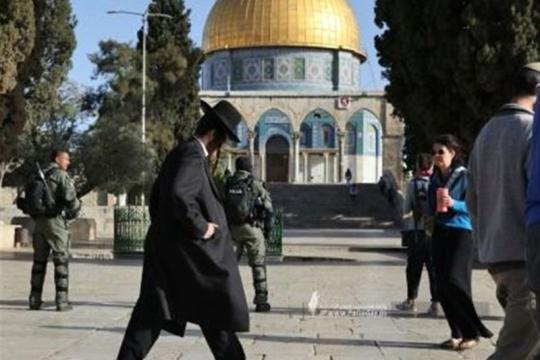 شؤون القدس: اقتحام المستوطنين  للأقصى تصعيد ديني–سياسي منظم برعاية الاحتلال
