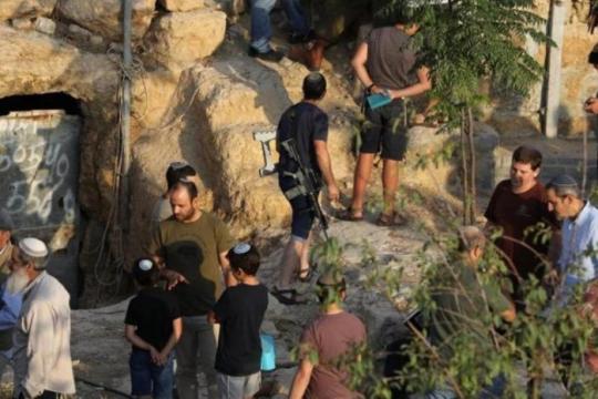 مستوطنون مسلحون يهاجمون مزارعين جنوب يطا ويُلوّثون آبار مياه شمال شرق الخليل