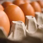 دراسة حديثة: البيض لا يرفع الكولسترول الضار كما كان يُعتقد.. والدهون المشبعة هي العامل الأبرز
