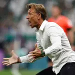 تونس تعلن رسميًا تعيين هيرفي رينارد مدربًا للمنتخب خلفًا لصبري لموشي