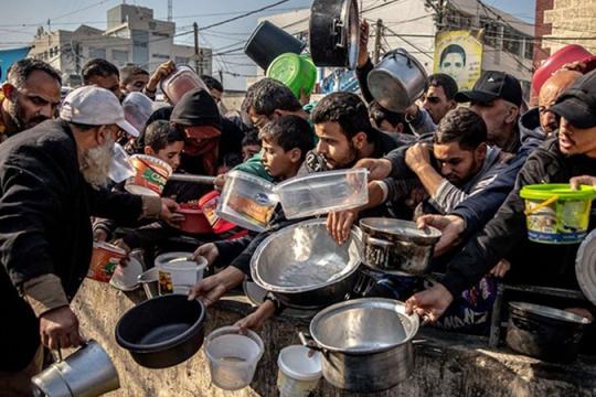 برنامج الغذاء العالمي: العائلات في غزة بلا سيولة… ووقف إطلاق النار لم ينهِ المعاناة