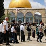 مستوطنون يقتحمون باحات المسجد الأقصى ويؤدون طقوساً استفزازية تحت حماية الاحتلال