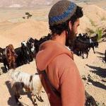 اعتداءات المستوطنين تجبر 15 أسرة على مغادرة قرية الديوك التحتا غرب أريحا