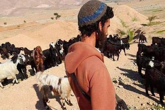 اعتداءات المستوطنين تجبر 15 أسرة على مغادرة قرية الديوك التحتا غرب أريحا