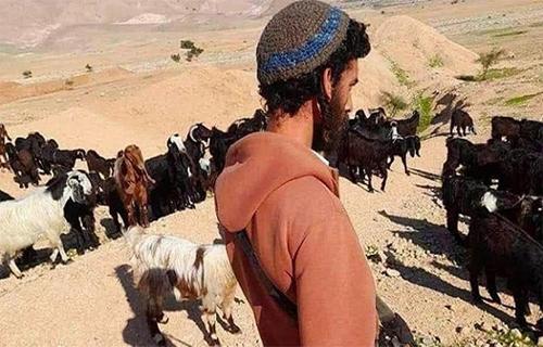 عمليات تجريف الأراضي وحصار المسكن تجبر العائلات على الرحيل تحت تهديد المستوطنين