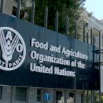 "الفاو": ارتفاع أسعار الغذاء عالميًا لأعلى مستوى منذ سبتمبر 2025