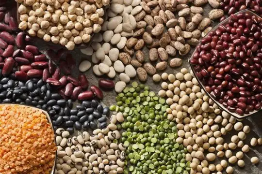 البقوليات.. مصدر نباتي غني بالبروتين وداعم لصحة القلب
