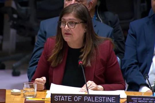 جلسة في مجلس الأمن تناقش الشرق الأوسط: دعوات دولية لوقف الحرب على غزة ووقف الاستيطان