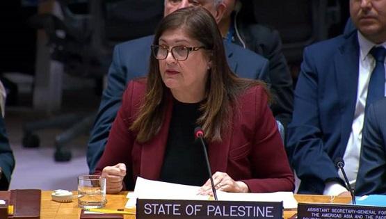 فلسطين تؤكد ضرورة الوحدة وإعادة الإعمار، والأمم المتحدة تحذر من تدهور الأوضاع في غزة والضفة