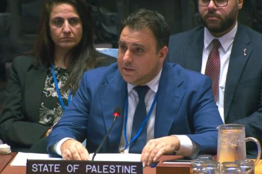 مندوب فلسطين بمجلس الأمن: مقتل 74 ألف فلسطيني في غزة و22 ألف طفل منذ بدء الحرب