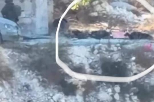 حماس تنعى شهداء جنين وتدعو إلى تصعيد المقاومة في الضفة الغربية