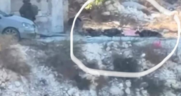 الحركة حمّلت إسرائيل المسؤولية عن تداعيات القصف في حرش السعادة، وطالبت المجتمع الدولي بوقف ما وصفته بالإفلات من العقاب