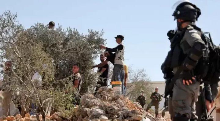 هيئة مقاومة الجدار والاستيطان: اعتداءات الجيش والمستوطنين تصاعدت بشكل خطير وتركزت في محافظتي رام الله ونابلس