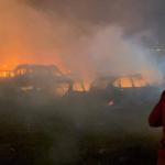 مستوطنون يشنون هجمات عنيفة في الضفة الغربية وإصابة فلسطينيين وإحراق مركبات