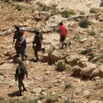 مستوطنون يهاجمون عائلة جنوب الخليل والاحتلال يعتقل ثلاثة فلسطينيين خلال الاعتداء