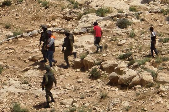 مستوطنون يهاجمون عائلة جنوب الخليل والاحتلال يعتقل ثلاثة فلسطينيين خلال الاعتداء