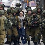 20 ألف معتقل منذ حرب غزة و81 شهيداً في سجون الاحتلال