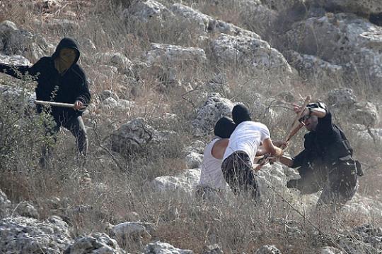 اعتداءات متصاعدة في الضفة: هجوم مستوطنين غرب رام الله وإصابة امرأة في الخليل