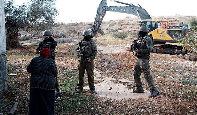 الاحتلال يقتلع أكثر من 150 دونمًا من زيتون قريوت ويطوّق أراضيها لصالح المستوطنين
