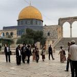 917 مستوطناً يقتحمون الأقصى وإبعاد حارس المسجد لمدة 6 أشهر