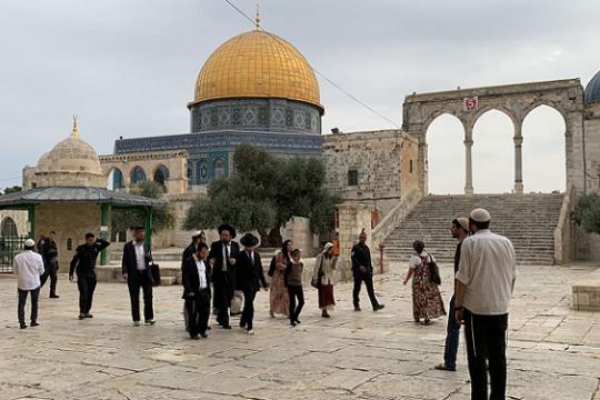 917 مستوطناً يقتحمون الأقصى وإبعاد حارس المسجد لمدة 6 أشهر