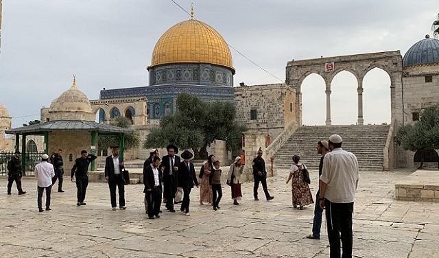 917 مستوطناً يقتحمون الأقصى وإبعاد حارس المسجد لمدة 6 أشهر