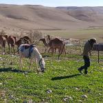 العليا الإسرائيلية تُلزم بإعادة فلسطينيين مهجّرين قسراً إلى قريتي السمري والركيز الفوقا في مسافر يطا