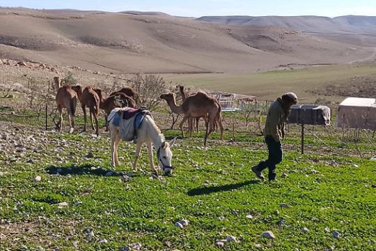 العليا الإسرائيلية تُلزم بإعادة فلسطينيين مهجّرين قسراً إلى قريتي السمري والركيز الفوقا في مسافر يطا