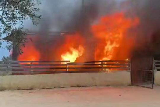 تصاعد اعتداءات المستوطنين في الضفة وإصابات واعتقالات خلال اقتحامات متفرقة